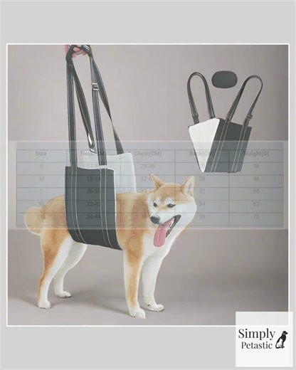 Canine Lift Support & Rehabilitation Sling