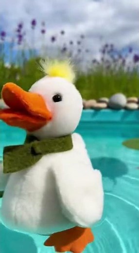 Daisy Duck Explains Migration & Water Cycle