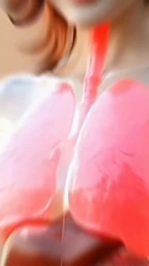 3.8K views · 4.3K reactions | Avoid These 5 foods to save your Liver. #liver #food #livercare #healthyfood #healthtip #shorts #facts #healthy #short | 5 Minute Fitness Play | Facebook