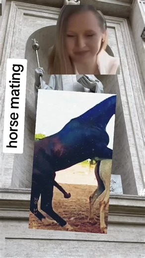 Interesting Mating Behaviors of Horses and Donkeys