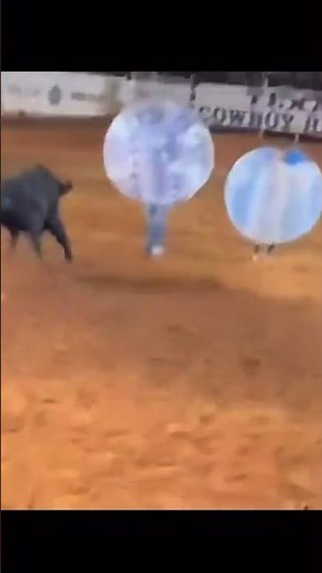 Bull Vs. Bubble Ball Human