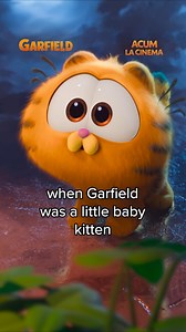 GARFIELD 2D/ 3D - Acum la Cinema . Dublat și subtitrat în limba Română. Start your summer with fun ! Cumpără Bilete Acum! #GarfieldMovie is exclusively in movie theaters Now Playing. | InterComFilm