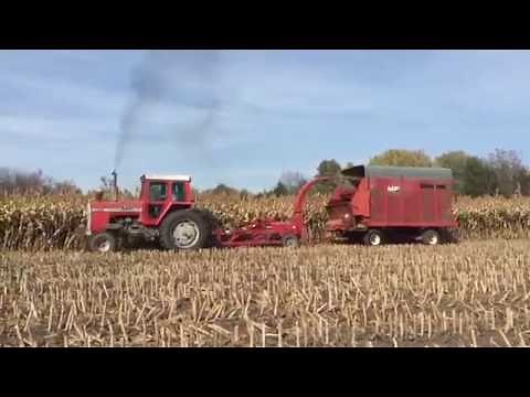 Forage Sorghum Silage (Certified Organic)