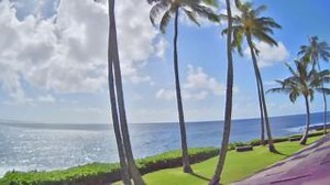 15 reactions · 3 comments | Dreaming of a Hawaiian getaway? Let Whalers Cove in Poipu on Kauai bring that dream to life.  Check out this stunning video of our customer - Whaler's Cove Resort, to see why this is a must-visit destination for any traveler. Thank you, Whaler's Cove Resort, for an amazing view. ️Watch more with Ozolio: https://www.ozolio.com/explore/ | Ozolio Live Streaming Solution | Facebook