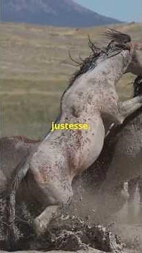 Une cavalière échappe à la mort : un cheval incontrôlable ! #animaux #tasurprise