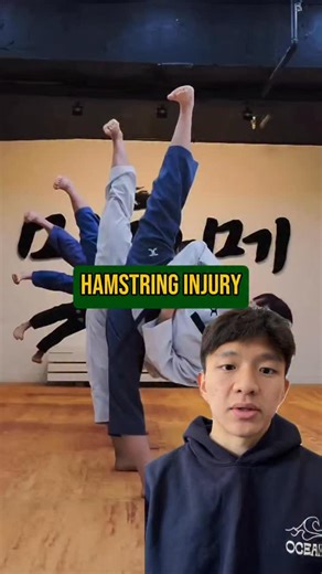 The biggest and most annoying injury I had was a hamstring injury. I kept training through it during Taekwondo, but it definitely discouraged me a lot to stop altogether because it would always hurt from kicking, stretching, etc… The injury was specifically the “underbutt” region, high part of the hamstrings, right underneath the glutes. What really helped me to address this injury over time were glute bridges and hamstring curls. As I think back on it now, hip thrusts should’ve been the first t