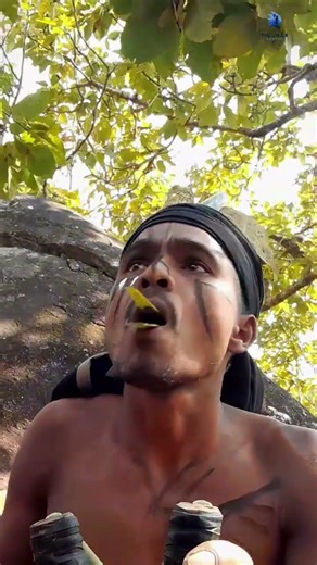 "Asian koel sound" call #entertainment #birdsong #birdsounds #koenigsegg