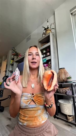 Discover My Favorite Shell in This Shell Tour!