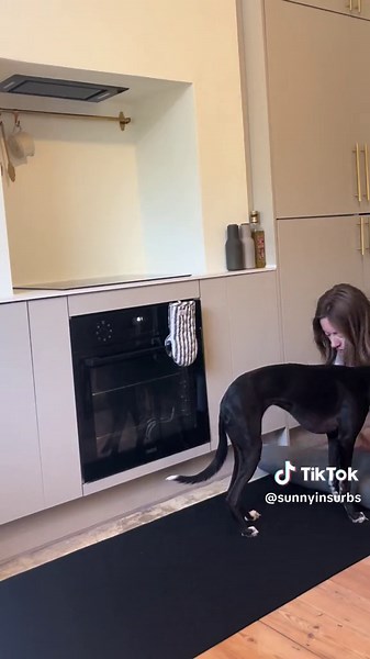 Kitchen Renovation Additions for a Stylish Upgrade 🌿