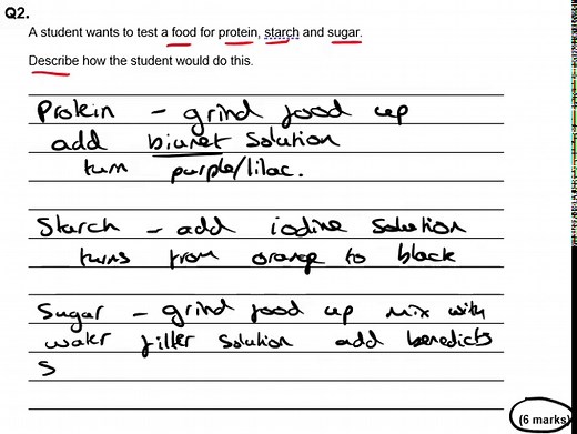 How to Test for Protein, Starch, and Sugar in Foods: GCSE Biology Explained