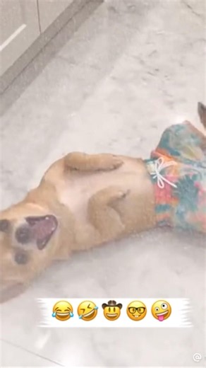 笑い転げたwww