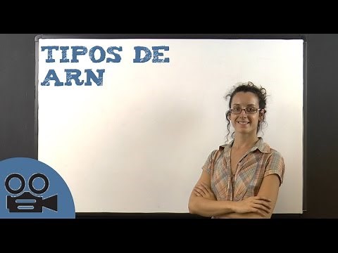Tipos de ARN