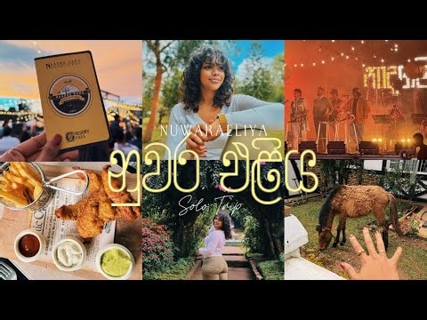 Nuwaraeliya Solo Trip | Naadhagama | Grand Hotel | Yara Hotel ❄️🌧️🍃