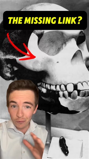 1K views · 6 comments | Is this the Biggest Evolution HOAX?  Follow for more  #palentology #evolution #darwin #hoax #fyp | Speechless with Kevin Phares | Facebook