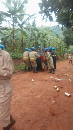 Telecommunications Installation in Tropical Plantation