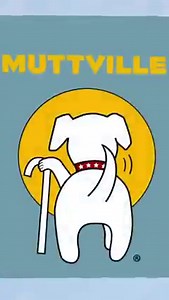 8.1K views · 465 reactions | These adorable Chihuahuas will be up on the Muttville site soon after their veterinary checks, keep an eye out here! https://muttville.org/ And if you'd like to donate in their honor, it's easy and we Thank You! ♥ https://muttville.org/donate | Muttville Senior Dog Rescue | Facebook