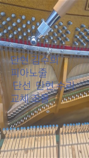 #Danhyeon #Kim Soo-hee piano string breakage Danhyeon repair replacement #Tuning King