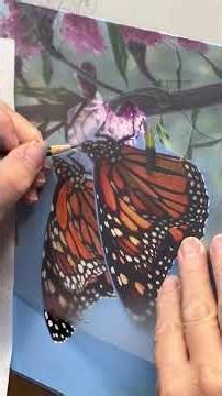 A Butterfly Painted From Beginning to End | Kim Norlien
