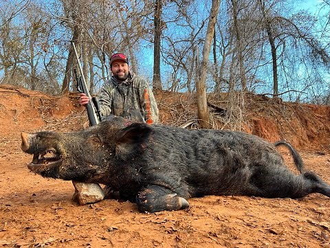 Hog Hunting at Hog Wild in Oklahoma - Nemaha Valley Outdoors