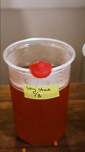 Easy 45 Minute Vegetable Stock 🍲 #cooking