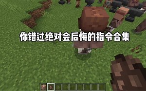 我的世界：你错过绝对会后悔的指令教学合集