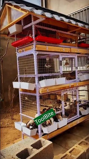Amazing DIY Chicken Coop Tower | Clean & Organized