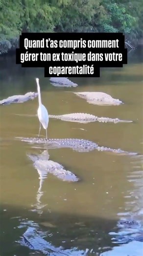 perversion narcissique et parentalité