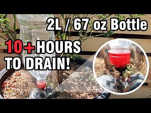 DIY - 2 litter soda bottle gravity drip irrigation system, upcycle, save water and keep green plants