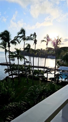 Michelle Thurston🌎 on Instagram: "Mornings at Couples Tower Isle 🌅 The sun rising over the private island — pure Jamaica. When you come back to Jamaica, you give back — to the island, the people, and the spirit that makes it unforgettable. 🇯🇲 Some places don’t just welcome you back… they remind you why you came. 💛❤️💚 📍 Book today with YTCNaples 📞 239-403-7703 📧 Michelle@YTCNaples.com 🌐 YTCNaples.com #YTCNaples #onelove #oneheart #CouplesTowerIsle #ComeBackToJamaica"