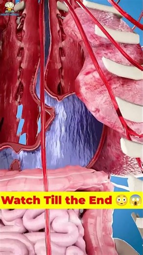 can Drinking Too Much Water hurt? #facts #shortsfeed