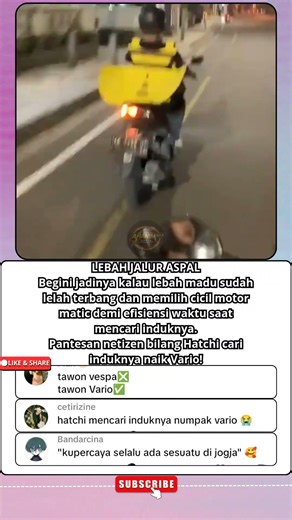 Lebah tersesat di jalan raya! #Shorts #Funny #Cosplay