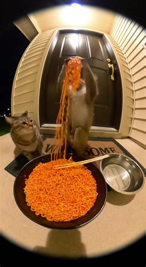 Hilarious Reactions to Super Spicy Ramen Challenge