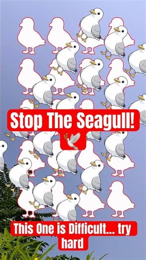 Can You 🫵 Stop The Rotating Seagull At The Perfect Spot? 🕊️🌀#hardpuzzles #puzzle
