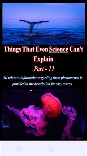 3 Things That Even Science Can’t Explain | Part 11 | Prime Learn & Facts