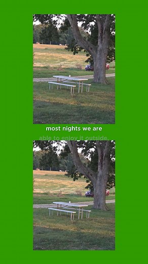 Ever wonder what a day in the life of a Transfarmation farmer looks like? Former dairy farmer turned mushroom farmer Paula Hamilton gives us a sneak peek behind the barn doors. Learn more about the Hamiltons’ farm transition here: https://thetransfarmationproject.org/our-farmers/hamilton-farm/. | The Transfarmation Project