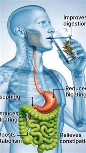 What Happens to Your Body When You Drink Jeera Water Daily?