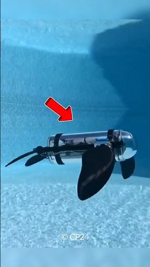 This 15 Year Old Boy Made Autonomous Ocean Monitoring Robotic Turtle #shorts #ramkarnan