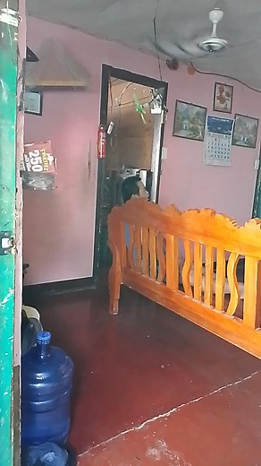 11K views · 413 reactions | Sau na concert c andrie 藍藍藍 | Gina Payas Oropeza | Facebook