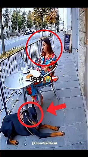 #strangerthings5 🌜