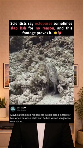 Scientists say octopuses sometimes slap fish for no reason, and this video proves it