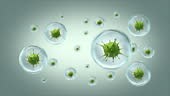 3D animation, Germs, Virus, flu, view of a virus under a microscope,...