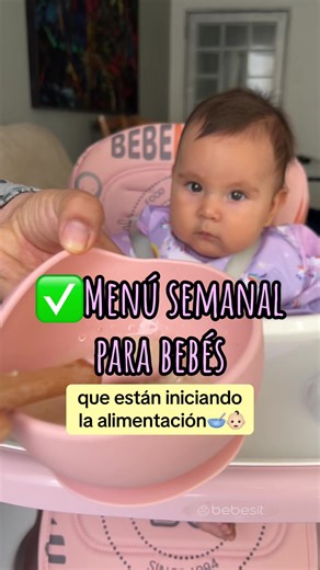 ✅Menú semanal para bebés que están iniciando la alimentación🥣👶🏻 🎁 200 recetas para bebés desde los 6 meses hasta los 3 años en el enlace de mi perfil, para que armes los mejores menús semanales nutritivos para tu bebé🎁 #recetasparabebes #ideasrecetasbebe #comidaparabebes #comidabebe #babyrecipes