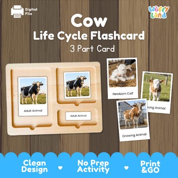 Cow Life Cycle Montessori 3-Part Cards - Science Zoology Farm Animal Flashcards