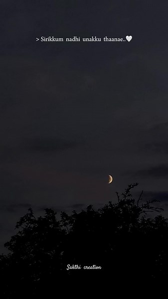 Tamil Love Song Lyrics with Heartfelt Emotions and Beautiful Melody