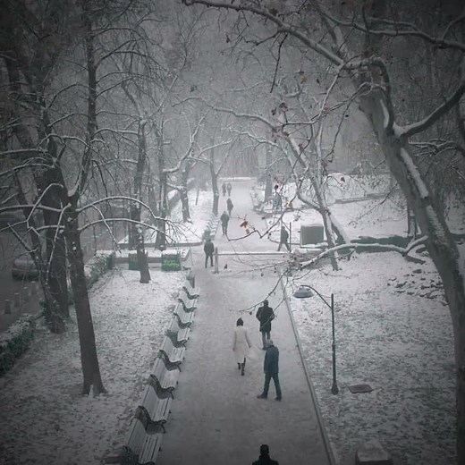 Absentia: Emily Byrne - On Top of the World