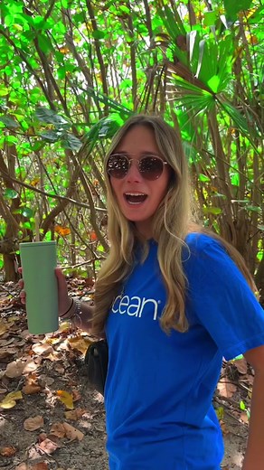 4ocean, PBC on TikTok