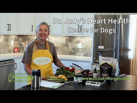 Dr. Judy's Heart Health Recipe for Dogs