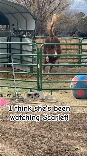 😳 glad she didn’t jump out!