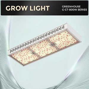 [Hot Item] Full Spectrum 800W LED Grow Light for Commercial Greenhouse