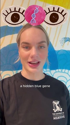 The genetics behind blue eyes 💙